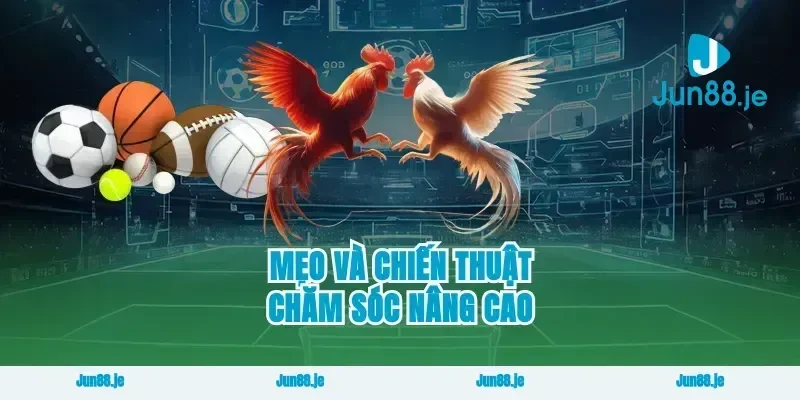 Mẹo và chiến thuật chăm sóc nâng cao