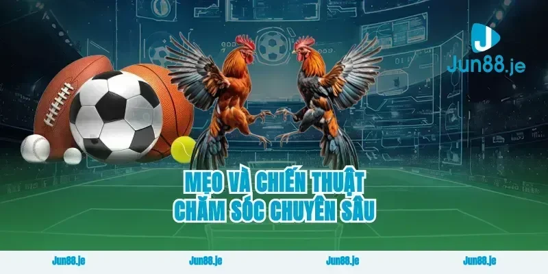 Mẹo và chiến thuật chăm sóc chuyên sâu