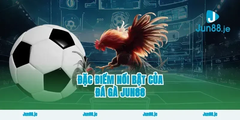 Đặc Điểm Nổi Bật Của Đá Gà Jun88