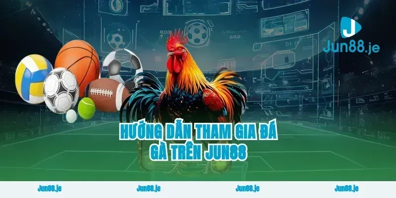 Hướng Dẫn Tham Gia Đá Gà Trên Jun88