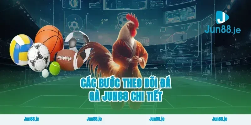 Các Bước Theo Dõi Đá Gà Jun88 Chi Tiết