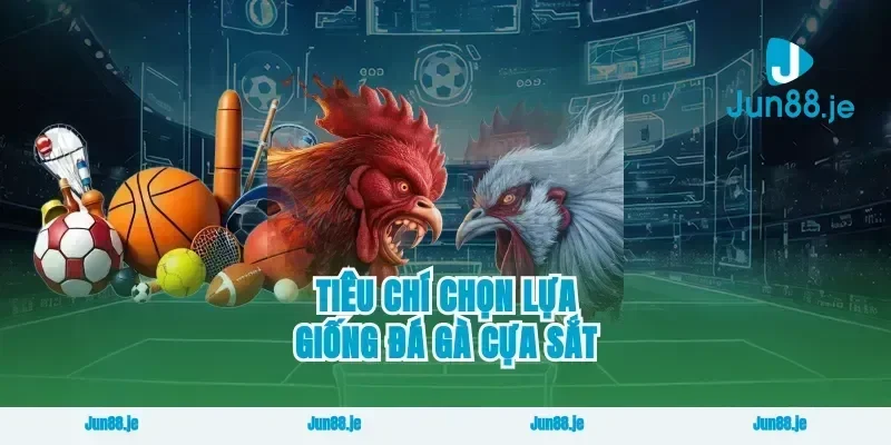Tiêu chí chọn lựa giống đá gà cựa sắt